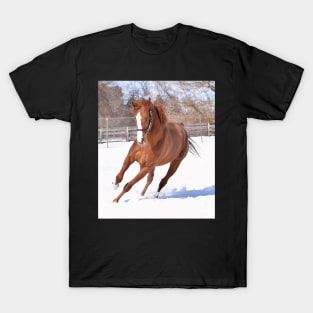 Verrazano filly T-Shirt